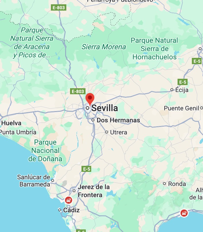 desinsectación en sevilla